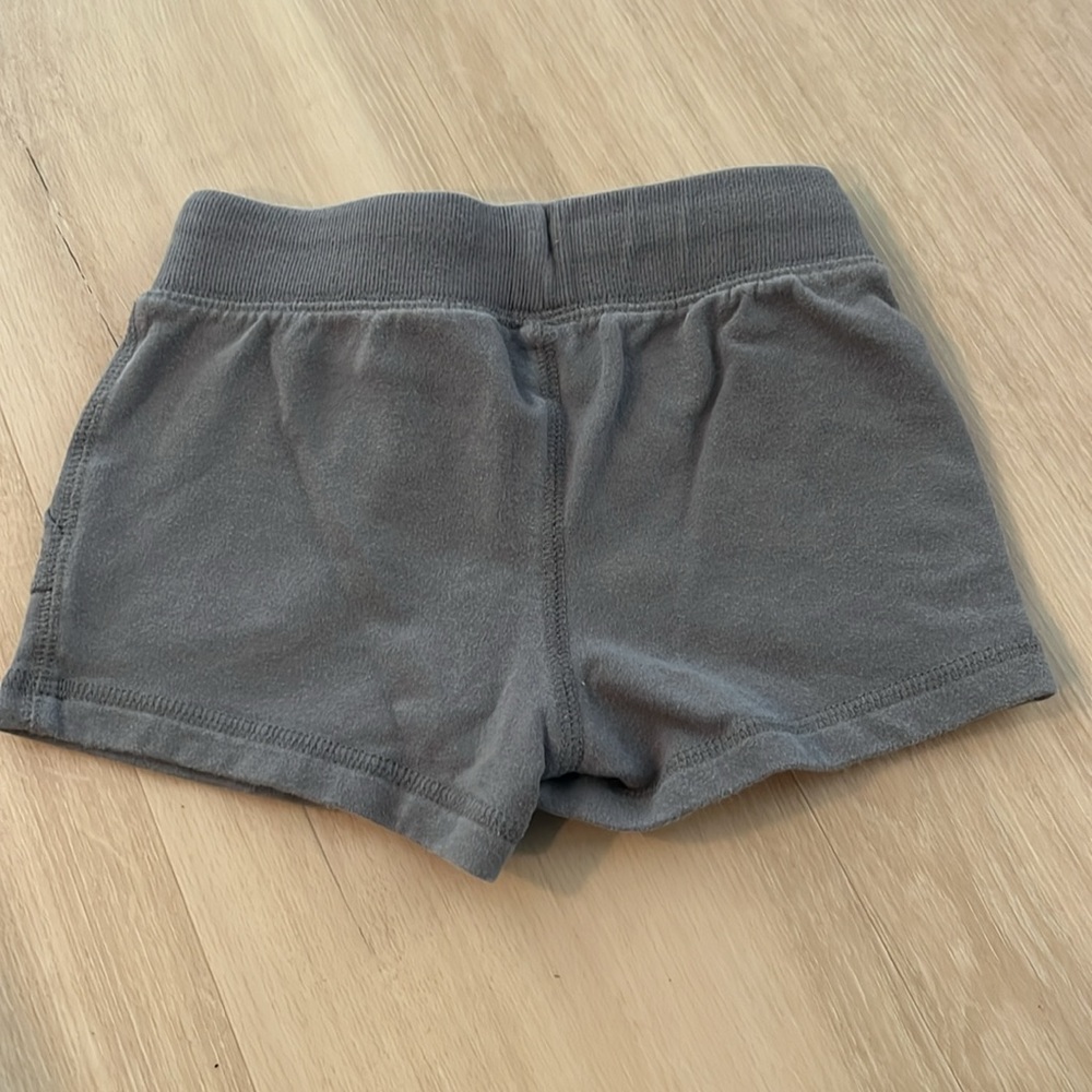 Primary Shorts - Picture 3 of 3